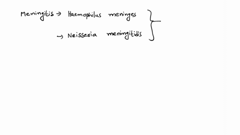 a-1-year-old-patient-presents-to-the-emergency-room-with-fever-headaches-lethargy-stiff-neck-and-disorientation-with-the-absence-of-petechial-rash-the-mother-noted-that-while-her-daughter-wa-17307