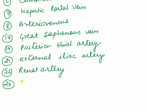name-blood-vessels-crossword-puzzleif-the-answer-is-two-wordsleave-a-blank-box-between-them-created-using-theteacherscornernet-crossword-puzzle-maker-across-down-1the-internal-and-external-i-48574