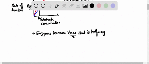 how-does-an-enzyme-affect-a-chemical-reaction-select-all-that-apply-a-lowers-the-activation-energy-b-decreases-the-rate-of-the-reaction-c-increases-the-activation-energy-d-increases-the-rate-05218