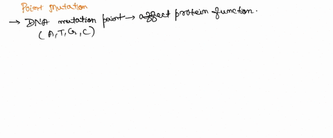 which-of-the-following-point-mutations-would-be-most-likely-to-affect-protein-function-a-taa-to-tga-b-caa-to-cag-c-agg-to-aga-d-ctt-to-ctc-e-all-of-the-above-00657