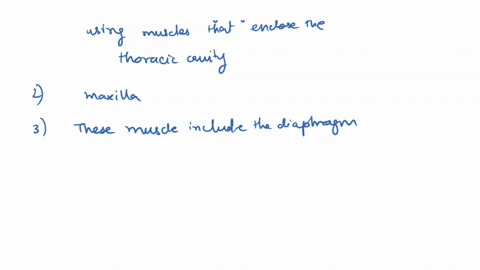 sentence-on-the-right-to-make-it-correct-flace-word-or-phrase-from-the-left-into-each-blank-in-buccinator-the-muscl-elevates-the-mandible-disconnecis-the-greater-wing-of-the-the-lateral-pter-76787