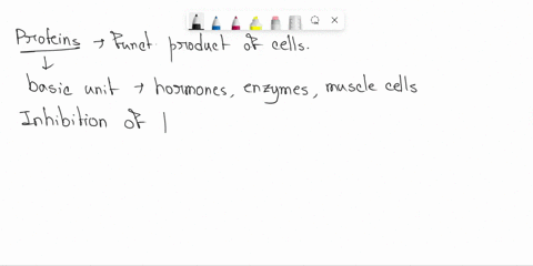 please-explain-28_-how-does-the-inhibition-of-protein-synthesis-affect-cells-59-describe-each-method-of-resistance-below-and-explain-how-each-method-below-makes-bacteria-resistant-to-macroli-33975