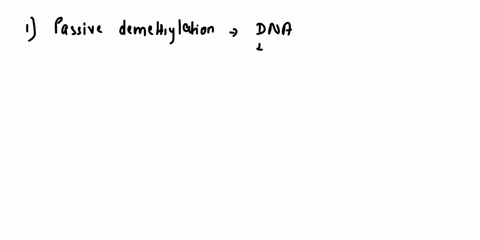 question-3-a-what-is-the-name-of-the-enzyme-responsible-for-dna-methylation-memory-ba-what-is-the-name-of-the-enzyme-responsible-for-dna-methylation-imprinting-c-explain-two-mechanisms-of-de-77898