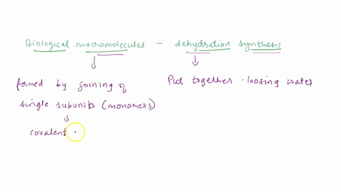 explain-or-diagram-the-formation-of-biological-macromolecules-by-dehydration-synthesis-also-called-condensation-reactions-74704