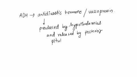 low-blood-levels-of-which-substance-would-cause-the-release-of-more-adh-into-the-blood-afluid-bsalt-coxygen-dglucose-08923
