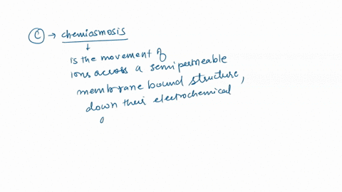 atp-is-essential-for-organisms-because-it-provides-energy-to-cells-how-does-atp-provide-this-energy-39522