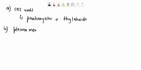 which-structures-are-found-in-a-prokaryotic-cell-a-cell-wall-ribosomes-thylakoids-chromosome-b-cell-42474