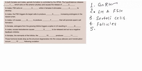 question-35-in-both-females-and-males-gamete-formation-is-controlled-by-the-hpga-the-hypothalamus-releases-which-acts-on-the-anterior-pituitary-and-causes-the-release-of-in-males-fsh-acts-on-61213