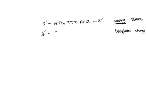 if-5-atgtttacg-3-is-the-coding-sequence-of-a-transcribed-region-what-would-be-the-mrna-sequence-5-gcauuugua-3-5-auguuuacg-3-5-utgtttucg-3-5-uacaaaugc-3-38442