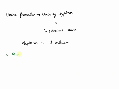 describe-the-process-of-urine-formation-include-the-structure-and-processess-involved-in-urine-include-the-3-physiological-processes-involved-in-simple-words-02918