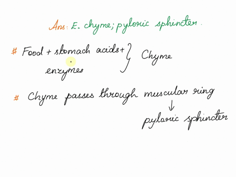 food-in-the-stomach-and-small-intestine-is-called-_______-to-get-from-the-stomach-to-the-small-intestine-it-will-pass-through-the-_______-group-of-answer-choices-a-chyme-ileocecal-valve-b-bo-87275