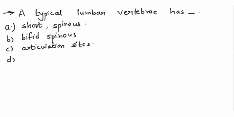 a-typical-lumbar-vertebra-has-________-a-a-short-rounded-spinous-process-b-a-bifid-spinous-process-c-articulation-sites-for-ribs-d-a-transverse-foramen-56272