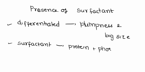 how-does-the-presence-of-surfactant-keep-alveoli-from-collapsing-09733