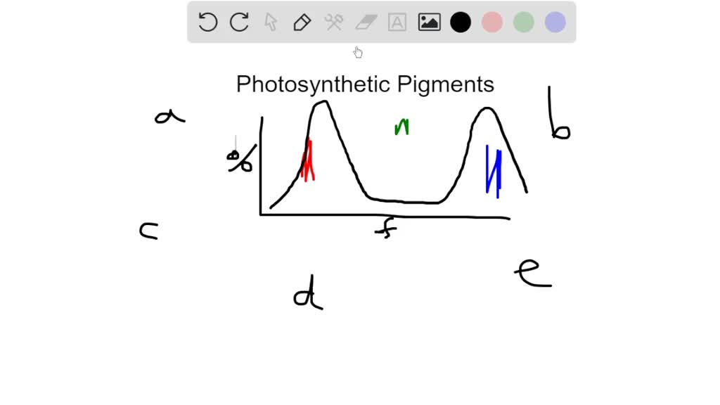 SOLVED Chlorophyll absorbs light mainly in the