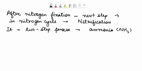 what-follows-nitrogen-fixation-in-the-nitrogen-cycle-nitrification-ammonification-assimilation-denitrification-decombustion-69877