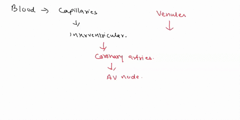the-blood-coming-from-capillaries-in-the-interventricular-septum-would-drain-into-the-________-small-cardiac-vein-great-cardiac-vein-coronary-arteries-sinus-of-valsalva-57935