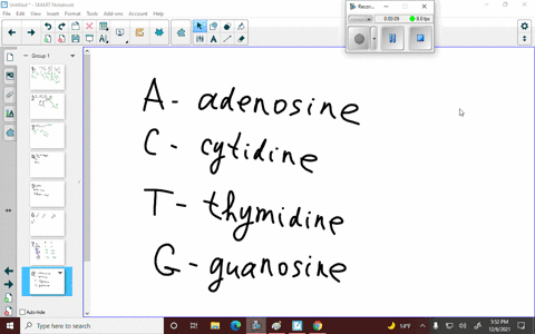 what-are-the-names-and-abbreviations-of-the-four-nucleotides-in-dna-93396