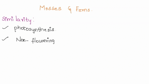 what-do-mosses-and-ferns-have-in-common-what-is-different-about-them-55301