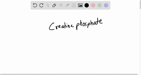 regarding-creatinine-phosphate-the-following-are-all-true-except-is-the-storage-form-of-energy-in-muscles-transfers-shigr-energy-phosphate-backto-adp-very-rapidly-energy-lasts-for-only-about-89847