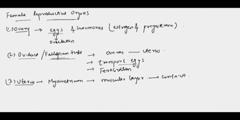 identify-the-following-parts-in-the-female-anatomy-model-and-state-the-function-organ-ovary-description-function-oviduct-or-fallopian_tube-myometrium-endometrium-cervix-vagina-clitoris-labia-03878