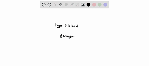 03-what-antigens-are-present-in-a-person-with-type-b-blood-47254