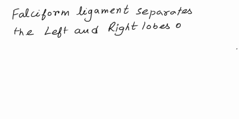 sigmoid-colon-transverse-colon-ascending-colon-descending-colon-question-12-right-and-left-lobes-of-the-liver-question11-at-the-left-colic-flexurethe-colon-becomes-the-caudate-and-quadrate-l-51376