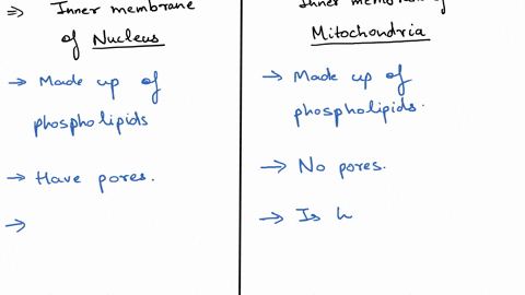 the-mitochondrion-like-the-nucleus-has-two-or-more-membrane-layers-how-is-the-innermost-of-these-layers-different-from-that-of-the-nucleus-select-one-a-the-two-membranes-are-biochemically-ve-37465
