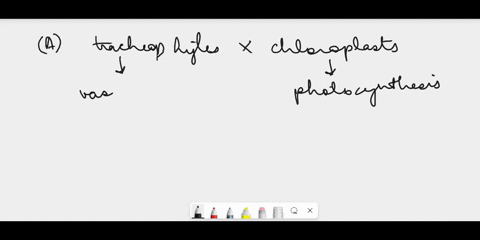 someone-pls-solve-this-problem-23205