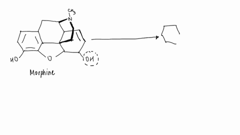 6-hydromorphone-commnercial-name-dilaudid-is-an-extremely-potent-opiate-based-narcotic-that-is-used-to-relieve-severe-pain-usually-only-with-surgeries-hydromorphone-is-often-synthesized-via-10974