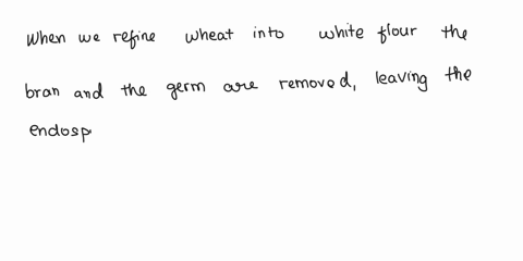 flour-when-you-are-eating-white-bread-made-from-refined-wheat-flour-what-part-of-the-grain-are-you-consuming-2-pts-explain-the-primary-nutritional-value-derived-from-this-material-in-the-rat-34403