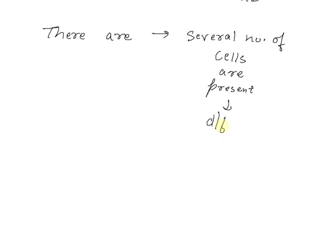 SOLVED What evidence shows that mitosis is a continuous process, not a