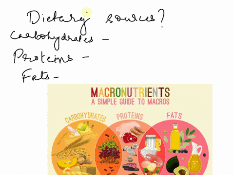 what-are-the-dietary-source-of-carbohydrates-proteins-and-fats-29837