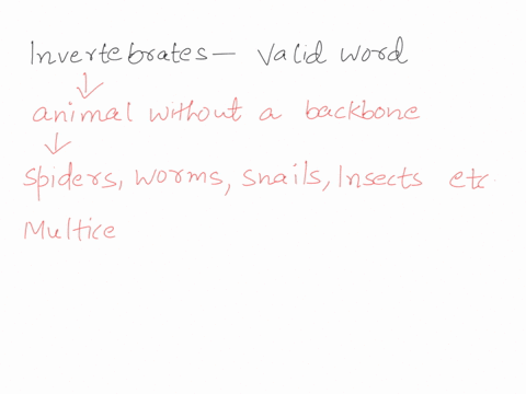 question-17-of-20-select-the-best-answer-for-the-question-17-which-of-the-following-best-describes-why-invertebrates-isnt-considered-a-scientifically-valid-word-when-classifying-animals-a-th-65482