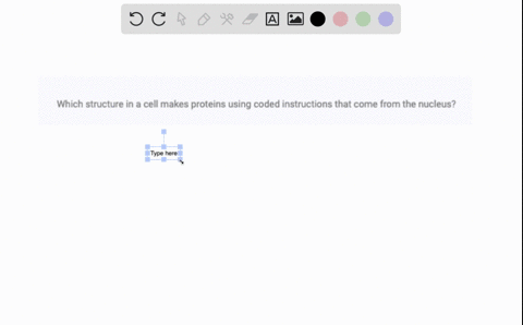 which-structure-in-a-cell-makes-proteins-using-coded-instructions-that-come-from-the-nucleus-40496