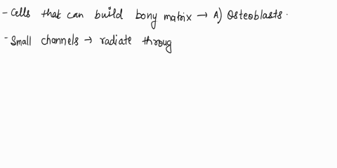 match-the-following-15cells-that-can-build-bony-matrix-16-small-channels-that-radiate-through-the-matrix-of-bone-17layers-of-bone-matrix-18-cells-that-can-dissolve-the-bony-matrix-19-the-lin-42857