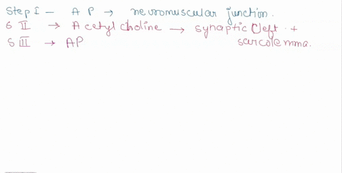 put-the-stepsof-muscle-contraction-order-start-with-the-arrival-of-the-action-potentialap-arriving-at-the-neuromuscular-junction-depolarization-ofthe-sarcolemma-plasma-membrane-occurs-repola-75374