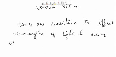 which-part-of-the-eye-identify-the-colors-53788