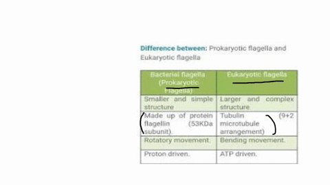 biology-12