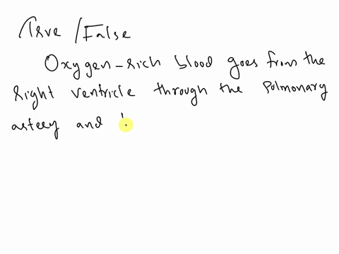true-or-false-oxygen-rich-blood-goes-from-the-right-ventricle-through-the-pulmonary-artery-and-to-the-blood-14438