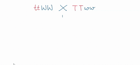 21-in-fruit-flies-brown-body-t-is-dominant-t0-a-tan-body-_-in-addition-wings-wl-are-dominant-t0-wingless-wi-these-genes-are-15-map-units-apart-on-chromosome-11-true-breeding-tan-fly-wilh-win-23539