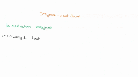 enzymes-used-to-cut-genes-in-recombinant-dna-research-are-a-ligases-b-restriction-enzymes-c-transcriptases-d-dna-polymerases-e-replicases-94442