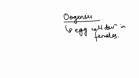 oogenesis-the-production-of-eggs-begins-in-the-fetus-of-females-true-false