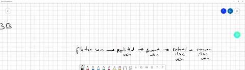 what-is-the-correct-path-through-the-circulatory-system-which-describe-the-passage-of-a-blood-clot-originating-in-the-left-leg-57256