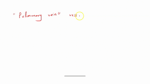 question-25-which-of-the-following-vessels-does-not-return-blood-to-the-right-atrium-of-the-heart-a-coronary-sinus-b-inferior-vena-cava-c-superior-vena-cava-d-pulmonary-vein