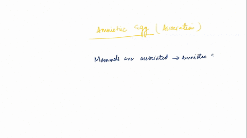 21-which-of-the-following-is-associated-with-an-amniotic-egg-fish-mammals-none-of-these-are-correct-05308