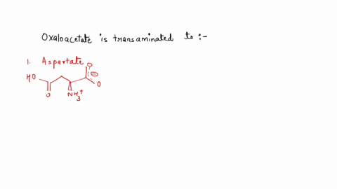 oxaloacetate-is-transa-towha-acio-oh-nhz-nh3-oh-oh-nhz-hzn-oh-nhz-hzn-_-oh-86308