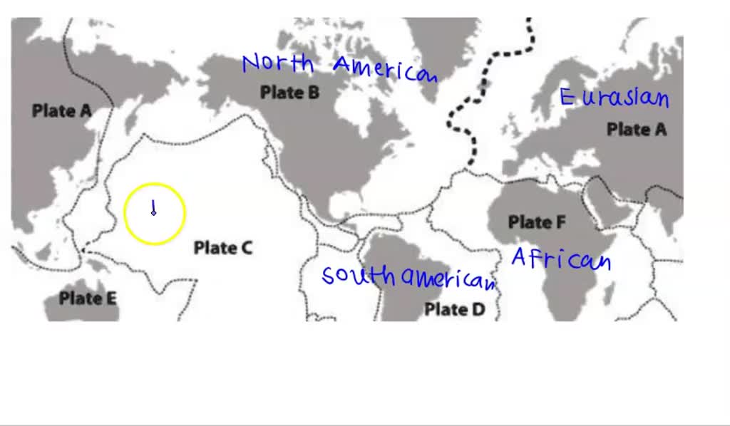 SOLVED how many major plates are there in the plate tectonic map
