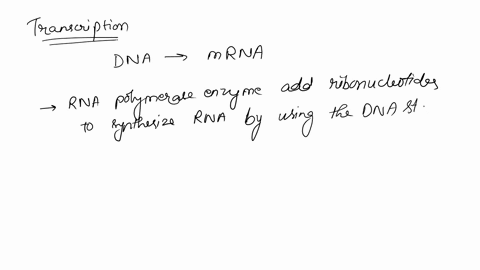 according-to-the-central-dogma-double-stranded-dna-serves-as-the-template-for-the-production-of-rna-during-transcription-which-of-the-two-dna-strands-serves-as-the-template-for-transcription-21102