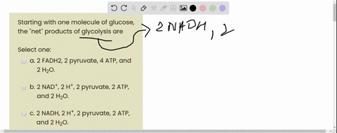 starting-with-one-molecule-of-glucose-the-net-products-of-glycolysis-are-select-one-a-2-fadhz-2-pyruvate-4-atp-and-2-h2o-b-2-nad-2-ht_-2-pyruvate-2-atp-and-2-hzo-c2-nadh-2-h-2-pyruvate-2-atp-76716