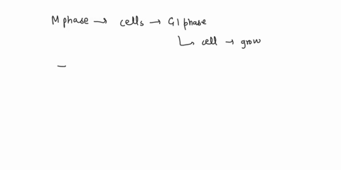 during-which-phase-of-the-cell-cycle-does-the-cell-spend-the-most-time-68614